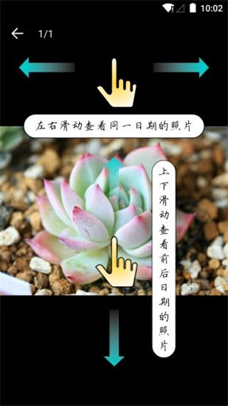 多肉成长记app手机赚钱软件截图4