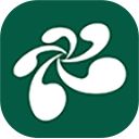 云屋小班课app手机赚钱软件