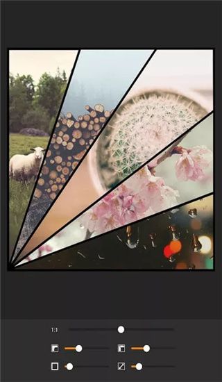 Moldiv官方版手机赚钱软件截图3