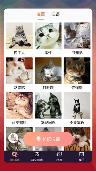 猫语翻译器手机赚钱软件截图2