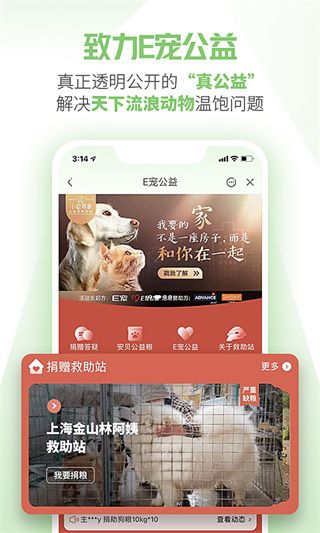 E宠app手机赚钱软件截图3