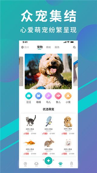 宠都app手机赚钱软件截图1
