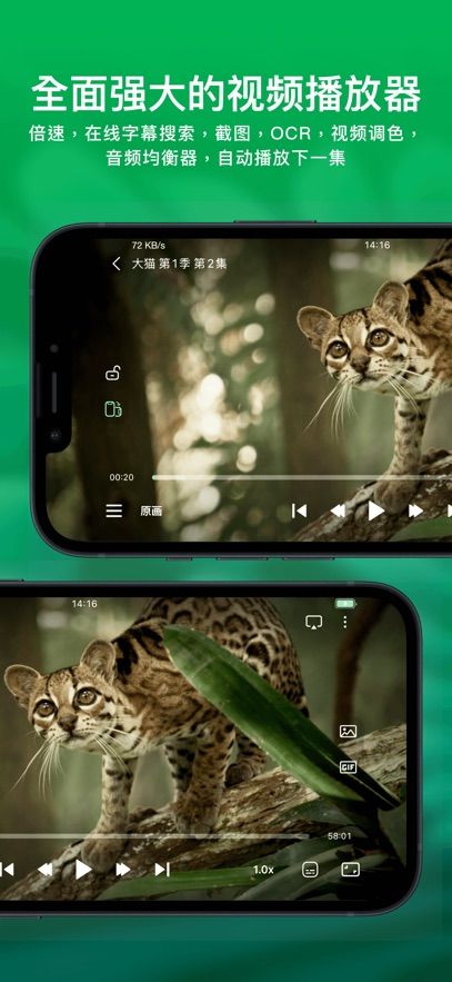 VidHub苹果版手机赚钱软件截图2