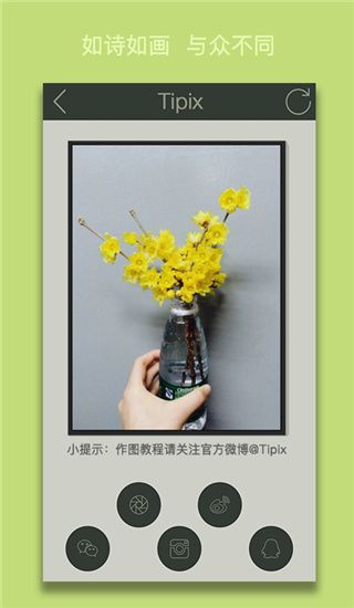 tipix官方版手机赚钱软件截图4