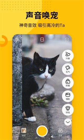爪叽app手机赚钱软件截图2