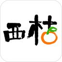 西桔App手机赚钱软件