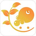 树鱼英语app手机赚钱软件