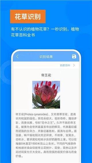 洋果扫描王苹果版手机赚钱软件截图3