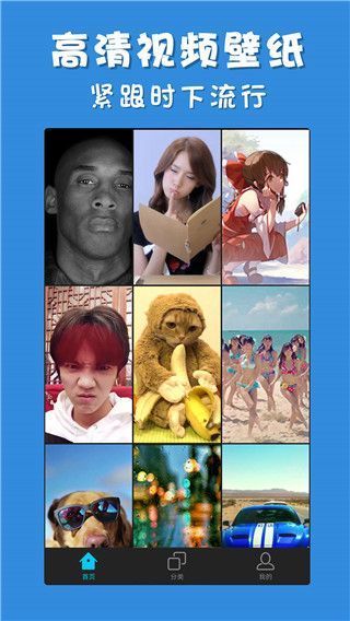 彩蛋视频壁纸手机版手机赚钱软件截图2