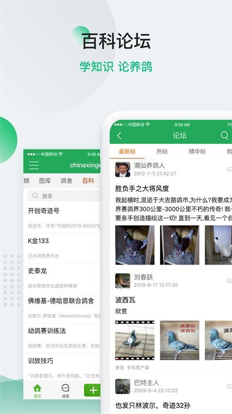 中国信鸽信息网app手机赚钱软件截图5