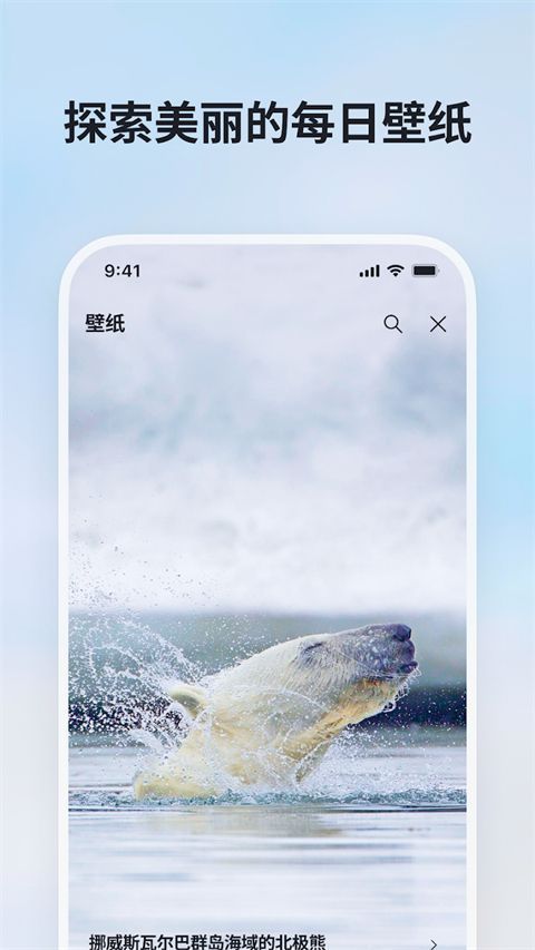 微软必应app最新版手机赚钱软件截图5