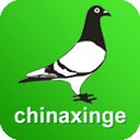中国信鸽信息网app手机赚钱软件