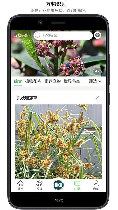 万物识别app手机赚钱软件截图4