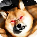 肌肉柴犬正版手机赚钱软件