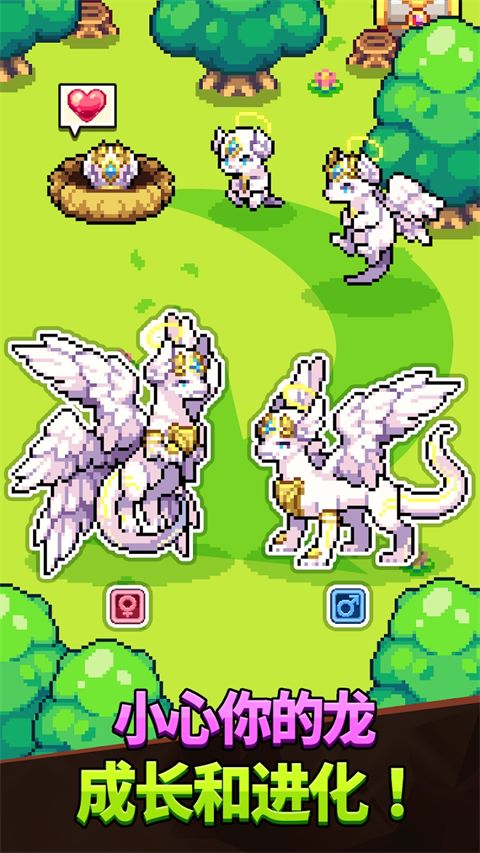 Dragon Village Collection官方最新版手机赚钱软件截图3