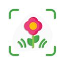 拍照识花App手机赚钱软件
