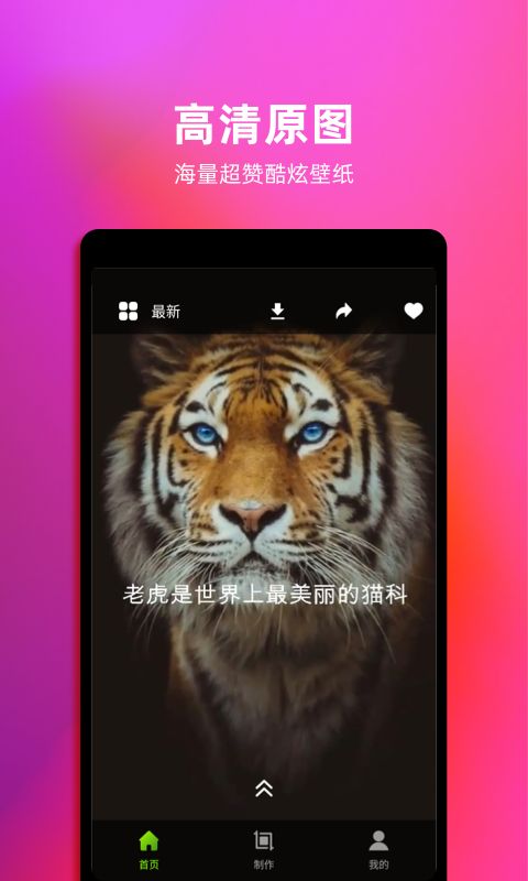 live动态壁纸app官方版手机赚钱软件截图3