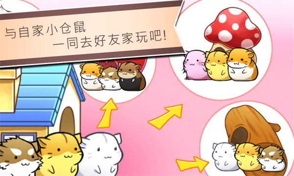 仓鼠的生活游戏手机赚钱软件截图3