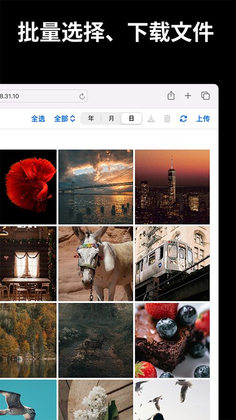 文件闪传app手机赚钱软件截图5