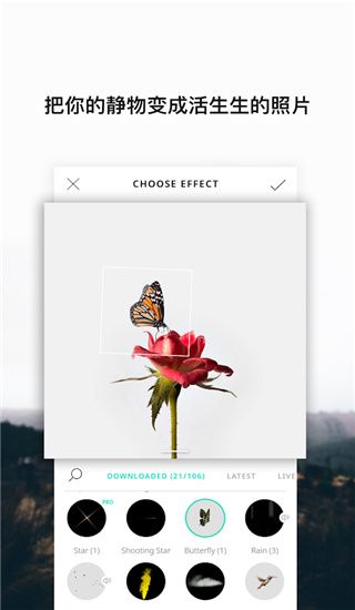 Vimage中文版手机赚钱软件截图1