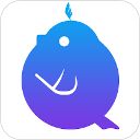 音壳乐理视唱练耳app手机赚钱软件