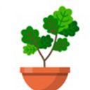 植物日记游戏最新版手机赚钱软件