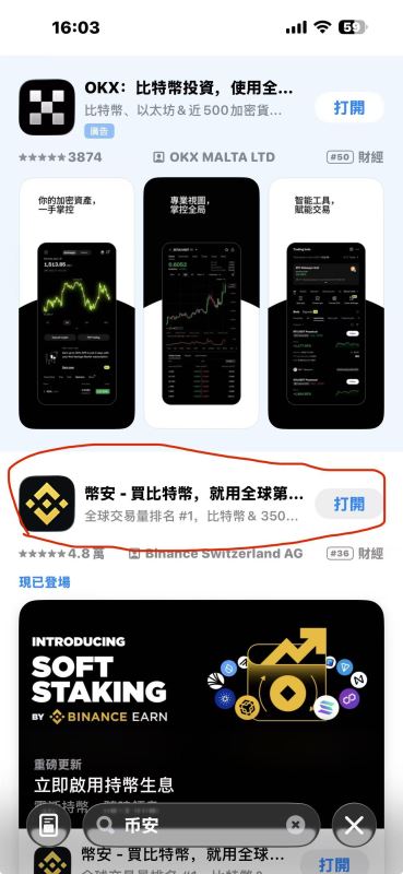 Apple ID获取教程_图13